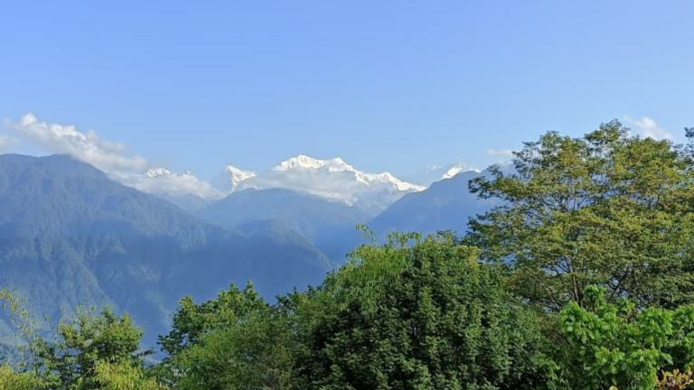 A breathtaking view of the snow-capped Mount Kanchenjunga mountain range seen behind lush green trees from an offbeat village near Darjeeling.